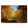 Trademark Fine Art Lois Bryan 'Fall Walkway' Canvas Art 22x32 Inches (65dc95e9d5d0399c333af35e_ud)