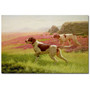Trademark Fine Art Harrington Bird 'Pointers in the Landscape' Canvas Art (65dc99bdeed7ebf2f9335a01_ud)