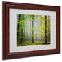 Trademark Fine Art 'Sugar Low' 11" x 14" Wood Frame Art (65dca537f99b2575f686bdb8_ud)