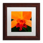 Trademark Fine Art KS0164-W1111MF Brilliant Orchid on Fire by Kurt Shaffer 11x11 FRM Art, WHT MTD (65dca5def99b2575f686bf32_ud)