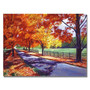 Trademark Fine Art 'October Road' 18" x 24" Canvas Art (65dca6eff99b2575f686c1ca_ud)