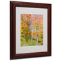 Trademark Fine Art 'The Line it Curves' 11" x 14" Wood Frame Art (65dca798f99b2575f686c38c_ud)
