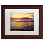 Trademark Fine Art BC0131-W1114MF "Lonely at Sunset" by Beata Czyzowska Young 11" x 14" Framed Art (65dca7bcf99b2575f686c404_ud)