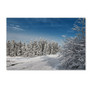 Trademark Fine Art LBR0284-C2232GG "Snowy Country Lane" by Lois Bryan 22" x 32" Frameless Art (65dca7bef99b2575f686c408_ud)