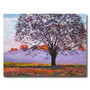 Trademark Fine Art 'Majestic Tree in Morning Mist' 18" x 24" Canvas Art (65dca82bf99b2575f686c54c_ud)