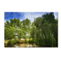 Trademark Fine Art PSL0327-C1219GG "Waterhole" by Philippe Sainte-Laudy 12" x 19" Frameless Art (65dca8d6f99b2575f686c716_ud)