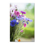 Trademark Fine Art PSL0298-C3047GG "Bouquet of Colors" by Philippe Sainte-Laudy 30" x 47" FRMLS Art (65dca8edf99b2575f686c72e_ud)