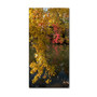 Trademark Fine Art KS0136-C2447GG "Autumn Branches" by Kurt Shaffer 24" x 47" Frameless Art (65dca91cf99b2575f686c7b0_ud)