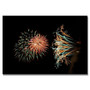 Trademark Fine Art 'Abstract Fireworks 31' 30" x 47" Canvas Art (65dcb5bcf638b16909619861_ud)