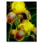 Trademark Fine Art Kathie McCurdy 'Little Bird' Canvas Art (65dcb615f638b1690961996b_ud)