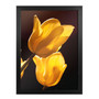 Trademark Fine Art Martha Guerra 'YellowBlooms VI' Canvas Art (65dcb670f638b16909619a2f_ud)