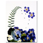 Trademark Fine Art Sleeping in the Shade by Kathie McCurdy  Canvas Art (65dcb685f638b16909619a7f_ud)