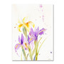 Trademark Fine Art 'The Golden Iris' 14" x 19" Canvas Art (65dcb729f638b16909619c45_ud)