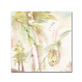 Trademark Fine Art 'Pine Shadow' 18" x 18" Canvas Art (65dcb757f638b16909619caf_ud)