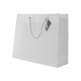 JAM PAPER Opaque Shopping Bags, Large, 13 x 10 1/2 x 4, Clear, Bulk 100 Bags/Pack (462001B)