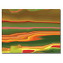 Trademark Global Kathie McCurdy "Neon Cactus Liquid Stripes" Canvas Art, 18" x 24" (65dcb7b2f638b16909619dd9_ud)