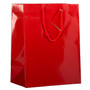 JAM PAPER Glossy Gift Bags with Rope Handles, Large, 10 x 13, Red, 3 Bags/Pack (673GLREB)