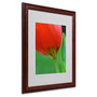 Trademark Fine Art 'Pure' 16" x 20" Wood Frame Art (65dcb8aaf638b1690961a0a7_ud)