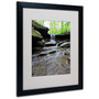 Trademark Fine Art 'Blue Hen Falls in Spring' 16" x 20" Black Frame Art (65dcb91ff638b1690961a207_ud)