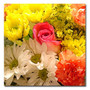 Trademark Fine Art Amy Vangsgard 'Spring Bouquet' Canvas Art (65dcb956f638b1690961a291_ud)