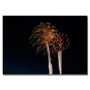 Trademark Fine Art 'Abstract Fireworks 37' 22" x 32" Canvas Art (65dcba4ff638b1690961a539_ud)