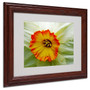 Kathie McCurdy 'Furnace Run Daffodil Large' Matted Framed - 16x20 Inches - Wood Frame (65dcbb7af638b1690961a8cb_ud)