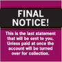 Past Due Collection Labels; Final Notice!....Last Statement, Red, 1-1/2x1-1/2", 500 Labels (65dcc0f056ba3d1b26e98819_ud)