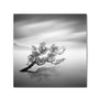 Trademark Fine Art 'Water Tree VI' 14" x 14" Canvas Art (65dcc41de0870eb6e1382a0b_ud)