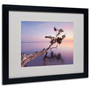 Trademark Fine Art 'Water Tree XV' 16" x 20" Black Frame Art (65dcc510e0870eb6e1382cab_ud)