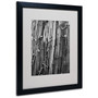 Trademark Fine Art 'Nails & Staples' 16" x 20" Black Frame Art (65dcc54ae0870eb6e1382d85_ud)