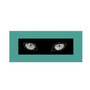 Trademark Fine Art 'Cat Eyes' 24" x 47" Canvas Art (65dcc57fe0870eb6e1382e23_ud)