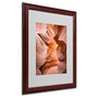 Trademark Fine Art 'Welcome II' 16" x 20" Wood Frame Art (65dcc5d7e0870eb6e1382f2f_ud)