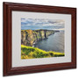 Trademark Fine Art 'Cliffs of Moher Ireland' 11" x 14" Wood Frame Art (65dcc61fe0870eb6e1383019_ud)