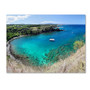 Trademark Fine Art 'Honolua Bay' 14" x 19" Canvas Art (65dcc671e0870eb6e138312d_ud)