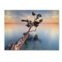 Trademark Fine Art 'Water Tree XIV' 22" x 32" Canvas Art (65dcc6a1e0870eb6e13831b3_ud)
