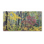 Trademark Fine Art 'Autumn Mist' 14" x 32" Canvas Art (65dcc6d2e0870eb6e1383245_ud)