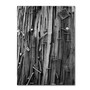 Trademark Fine Art 'Nails & Staples' 16" x 24" Canvas Art (65dcc6d3e0870eb6e1383249_ud)