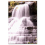 Trademark Fine Art Tranquil Melody-Monica 'Mouse' Fleet-Canvas Art (65dcc7eae0870eb6e13835f7_ud)