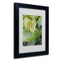 Trademark Fine Art 'Natural Hearts' 11" x 14" Black Frame Art (65dcc875e0870eb6e13837a7_ud)