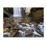 Trademark Fine Art 'Looking Glass Falls' 22" x 32" Canvas Art (65dcc8cce0870eb6e13838cb_ud)