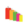 2 3/4" x 1 3/8" - Fluorescent Green 13 Pt. Shipping Tag - Pre-Strung, 1000/Case (65dcd385e74359cde4f63a83_ud)