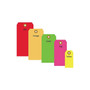3 1/4" x 1 5/8" - Fluorescent Pink 13 Pt. Shipping Tag, 1000/Case (65dcd397e74359cde4f63b39_ud)