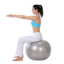 Sunny Health & Fitness Anti-Burst Gym Ball w/ Pump - 65cm - NO. 056 (65dceedee8837636b119f2a5_ud)