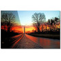 Trademark Fine Art CATeyes 'Invincible' Canvas Art 30x47 Inches (65dcf167e8837636b119fd20_ud)