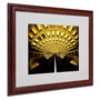 CATeyes 'Lines' Matted Framed Art - 16x20 Inches - Wood Frame (65dcf168e8837636b119fd40_ud)