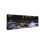 Trademark David Evans "Cascade-Otways Victoria" Gallery-Wrapped Canvas Art, 8" x 24" (65dcf183e8837636b119fe92_ud)