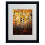 Trademark Philippe Sainte-Laudy "On Fire" Art, White Matte With Black Frame, 16" x 20" (65dcf194e8837636b119ff50_ud)