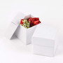 HBH™ 2-Piece Mix-and-Match Favor Boxes, White Shimmer (65dcf1b6e8837636b11a00c5_ud)