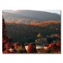 Trademark Fine Art MCat 'Glorious Greeting' Canvas Art 24x32 Inches (65dcf1b9e8837636b11a00fd_ud)