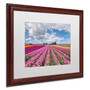 Trademark Pierre Leclerc "Tulip Field" Art, White Matte W/Wood Frame, 16" x 20" (65dcf1cfe8837636b11a023f_ud)